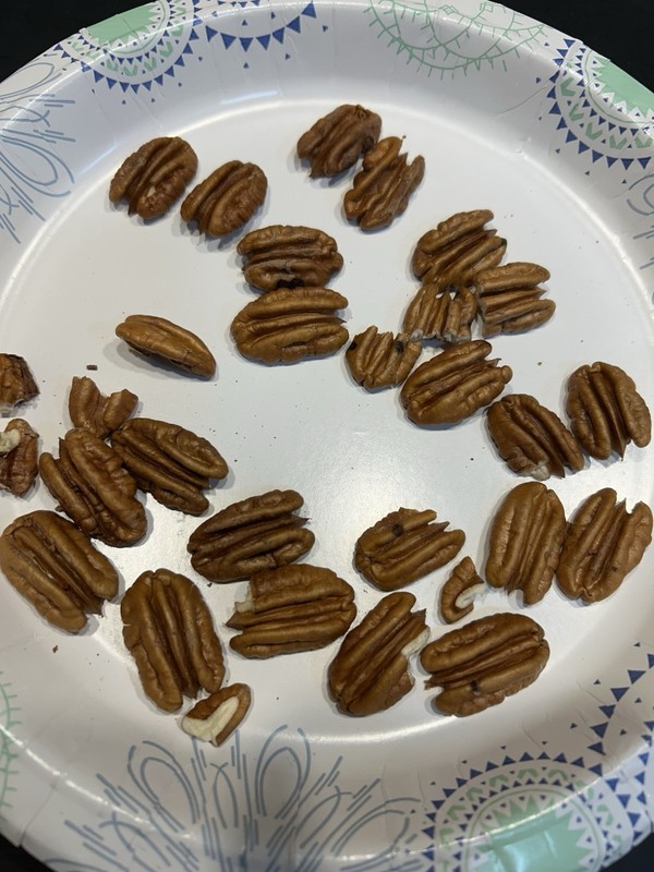 10 Lbs. 2025-2026 Squirrel Grade Pecans In The Shell, Not For Human Consumption gallery
