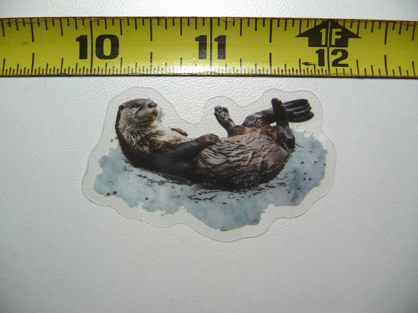 RIVER SEA OTTER SMALL STICKER DECAL WILDLIFE COLORFUL ZOO FUNNY gallery