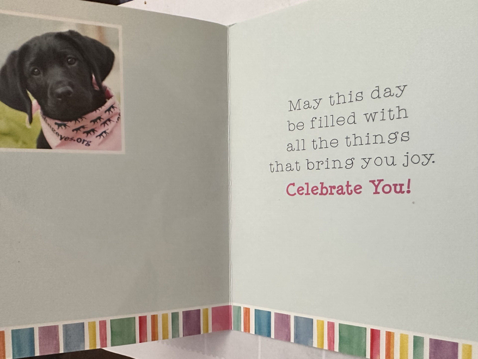 "For Someone Special on your Birthday" - Black Lab with Pink hanky 4.5" X 6" gallery