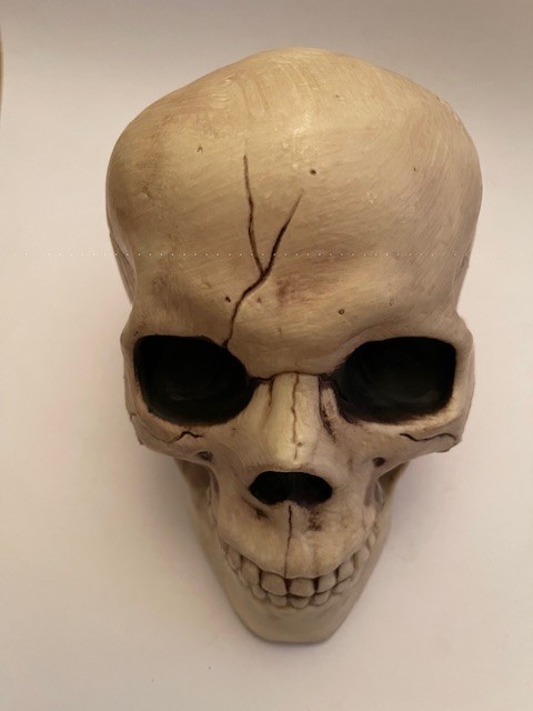 Halloween life size skull gallery
