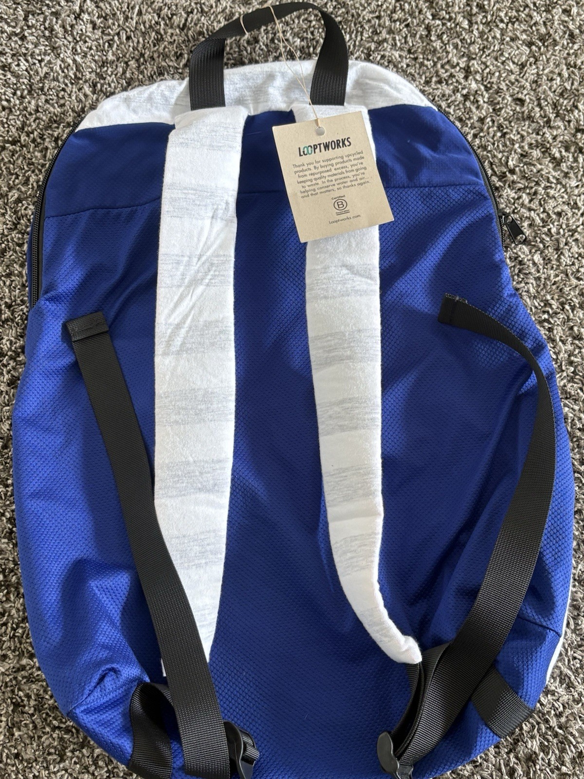 Looptworks Bon Iver Blue White 25L Hiking Backpack Padded Straps Zip Closure 2