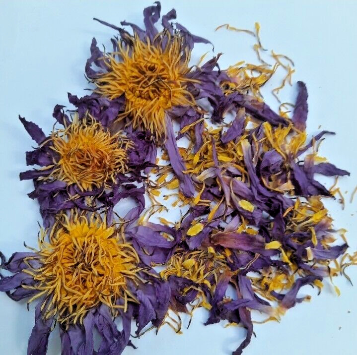 Dried Blue Lotus Flower Nymphaea Caerulea Natural Hand Picked Herbal Flowers *** gallery