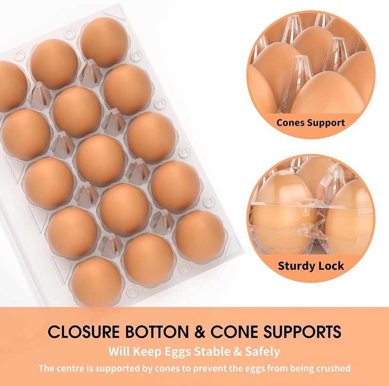 50 Pack Plastic Egg Cartons Cheap Bulk 12 Count Clear Blank Egg Containers fo... gallery