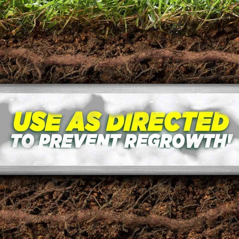 10Lb Foaming Root Killer Prevent Clogs in Sewer Pipes Dehydrates Dissolve Roots gallery