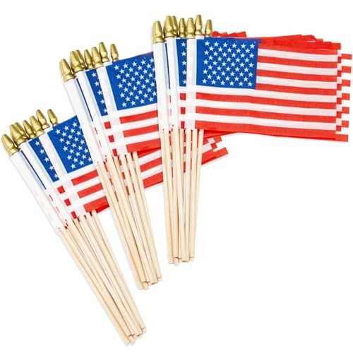 30PCS Small American Flags on Stick – 4x6 Inch for Outside – Outdoor Use gallery