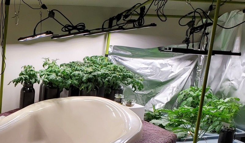 Migro Array 4 250W Grow Light - Lightly Used gallery