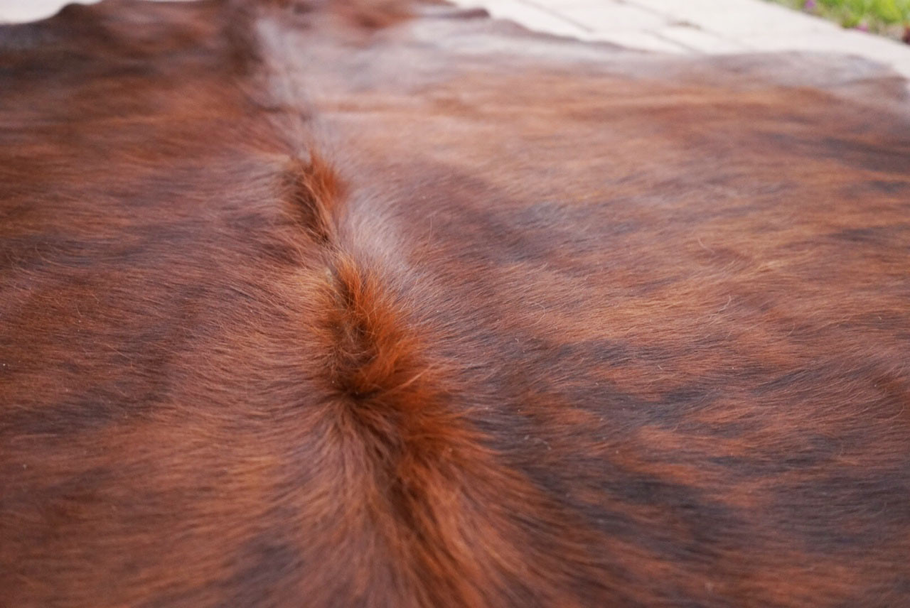 Brindle Rodeo Cowhide Rug Hair on authentic leather rug size approx 6x7 ft gallery