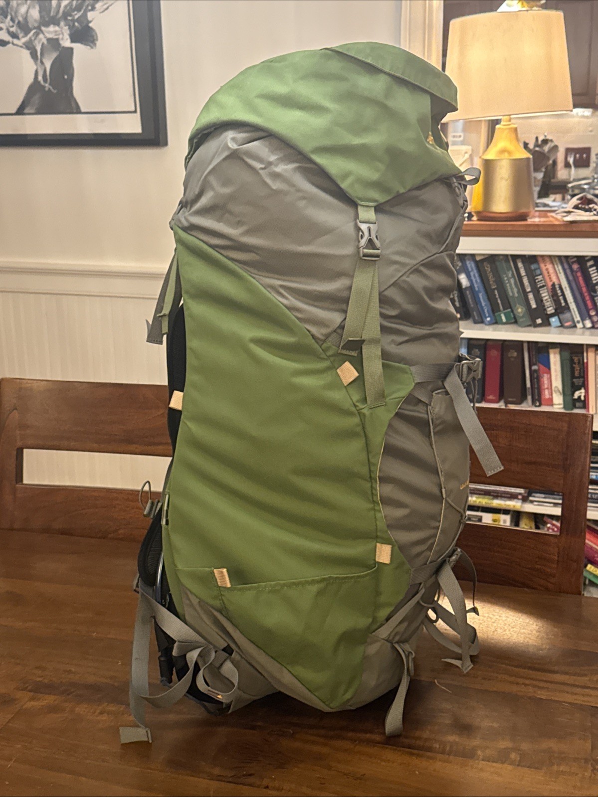 Aarn Load Limo Backpack , S/M pack length. Including BALANCE POCKETS!! 2