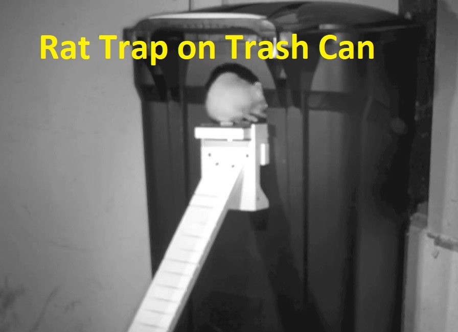 Walk The Plank Rat Trap - Rat & Squirrel Trap - Auto Reset - USA MADE gallery