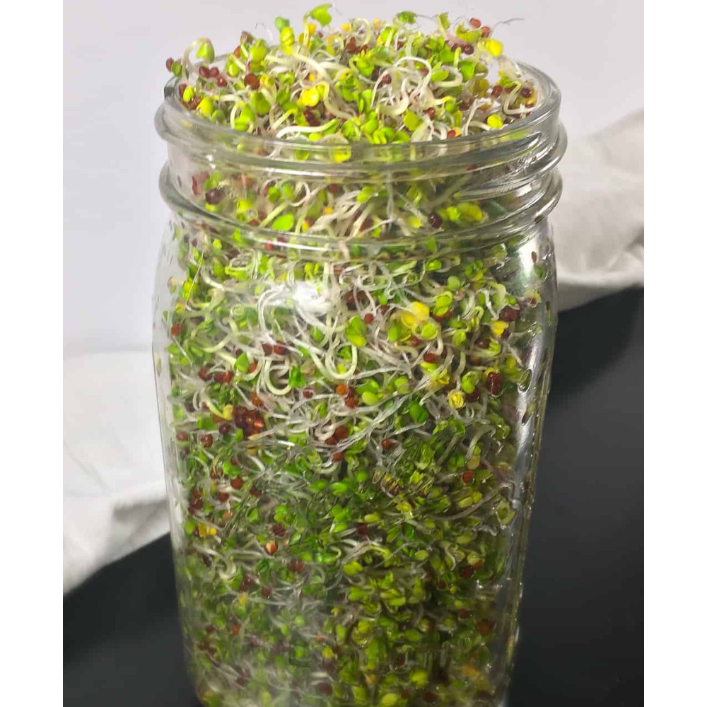 Sprouting Lid Kit w/ Broccoli Seeds | Non-GMO | Includes 2 Lids + Broccoli Seeds gallery