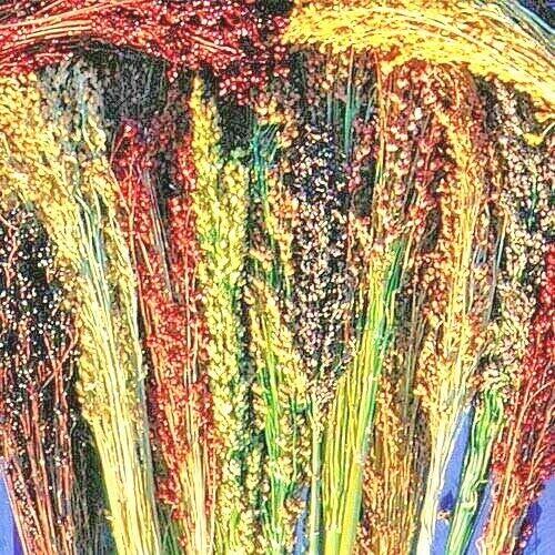 Broom Corn Seed Multi Color Crafts Home Accents Gold Red Bronze Purple Brown joc gallery