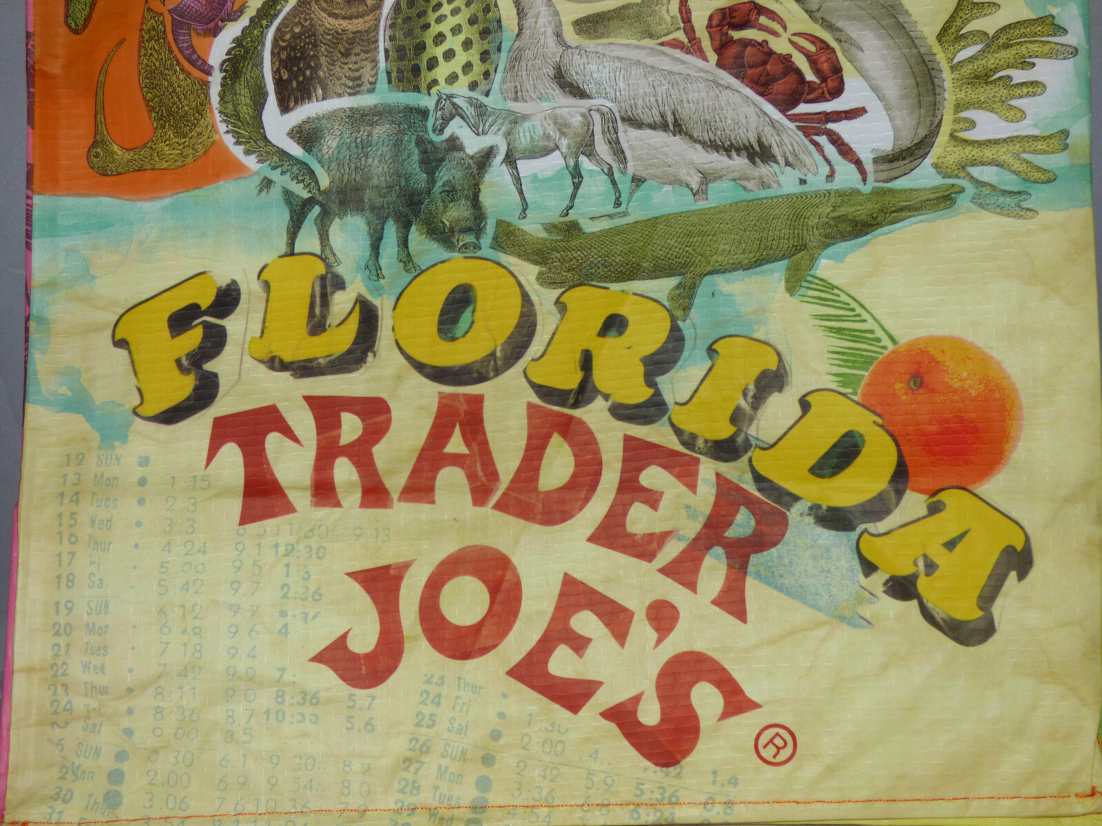 Trader Joe's - Reusable Grocery Bag - Florida gallery