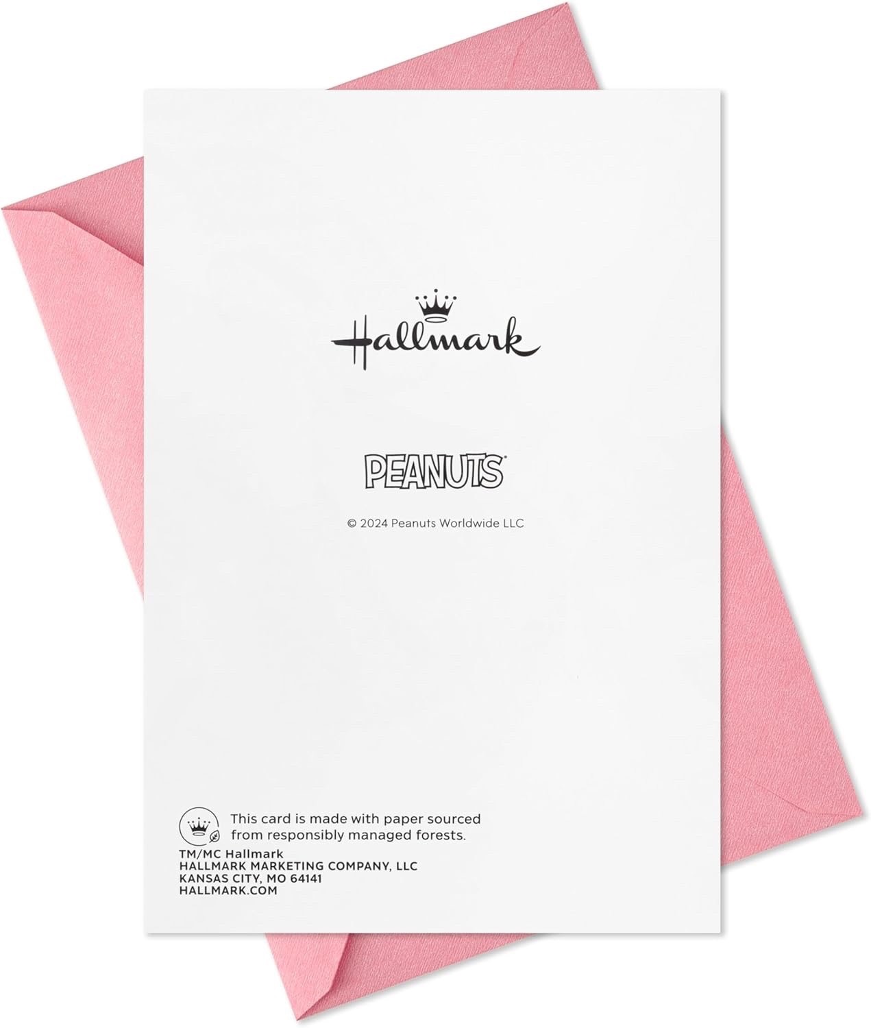 Hallmark Snoopy & Woodstock All Occasion Greeting Card with envelope gallery