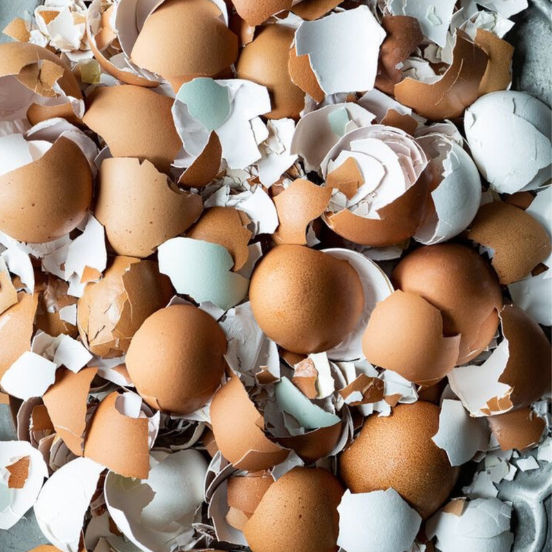 100% Organic Egg Shell Powder Fertilizer Whitener All Animals Supplement F/Ship gallery