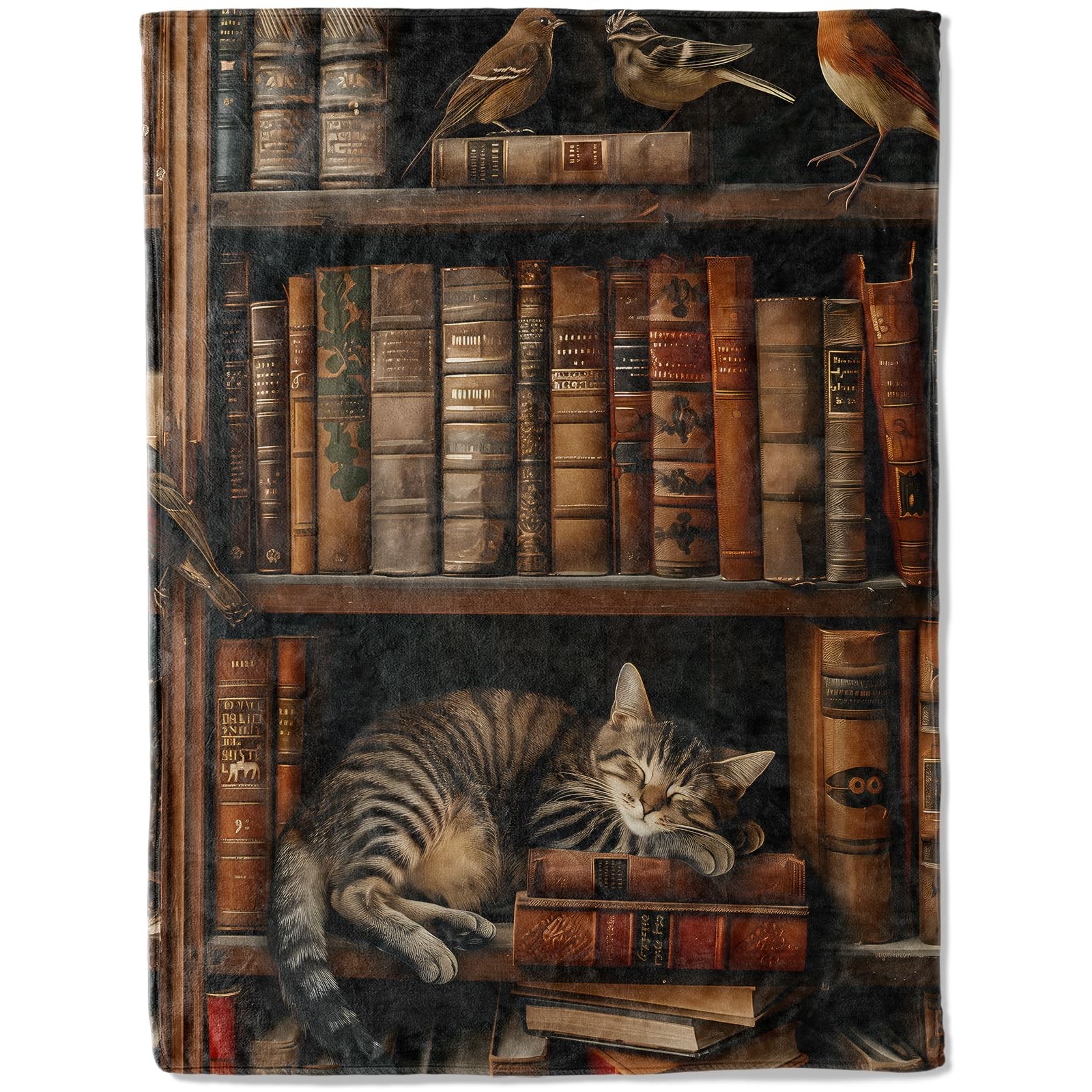 Book Flannel Blanket Cat Napping On Bookshelf 60x80 Inch Library Lover gallery
