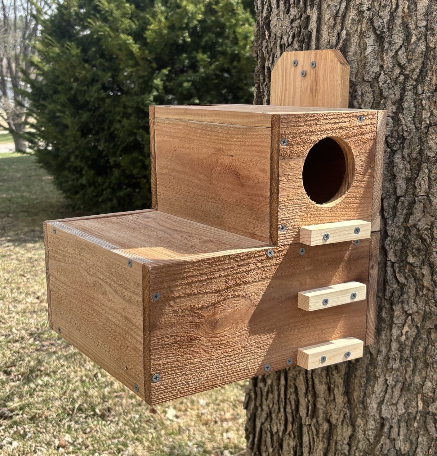 Large Solid Cedar Backyard Squirrel House Nesting Box - Wooden W Preditor Guard gallery
