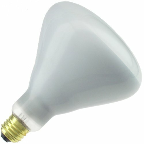 Industrial Performance 250 Watt BR40 Shatter Resistant Clear Heat Lamp