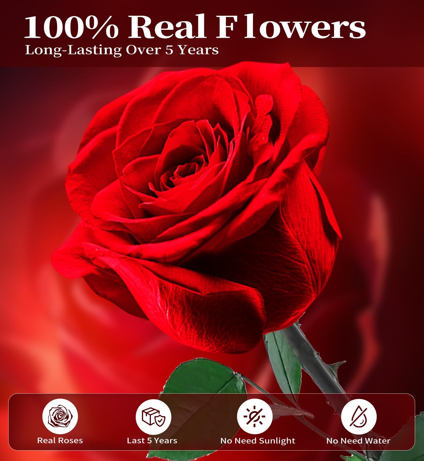 Preserved Flowers for Delivery,Red Rose Bouquets That Last 5 Years,Birthday F... gallery