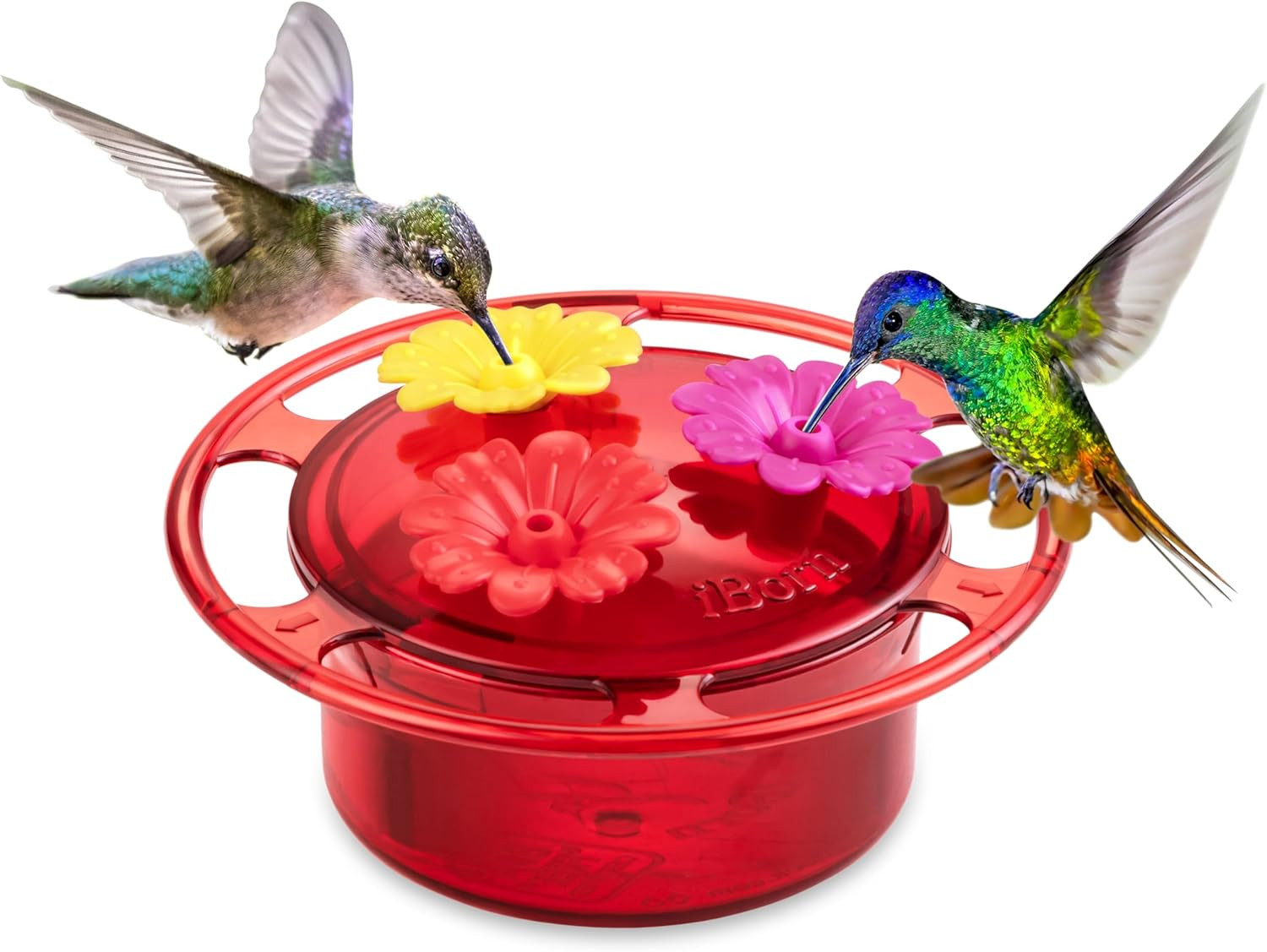 Handheld Hummingbird Feeders for Outdoors, Hummingbird Hand Feeder 3OZ Mini Bird gallery