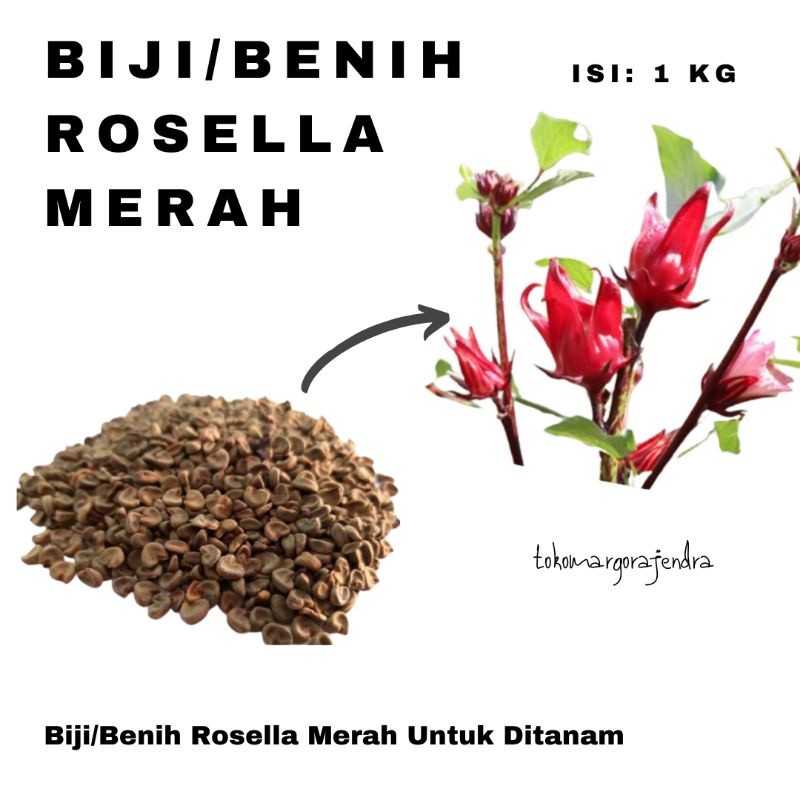 Roselle Seeds Bulk 1000g Hibiscus Sabdariffa Planting Seed natural organic gallery