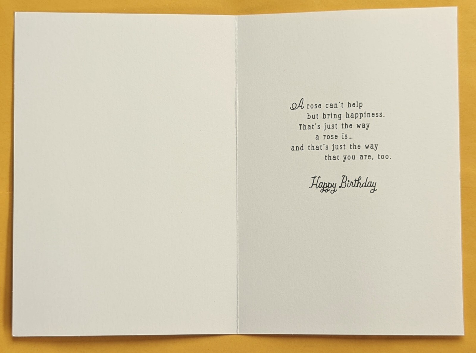 "For Someone Special On Your Birthday". Birthday Greeting Card (+Envelope 5x7") gallery