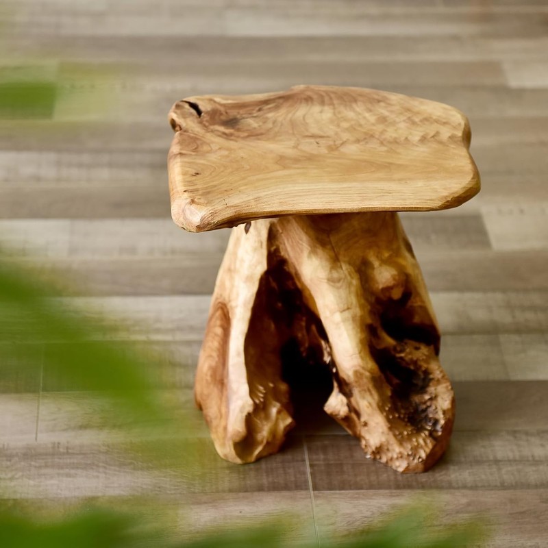 Natural Cedar Stump Stool 14" End Table Live Edge Side Table Plant Stand gallery