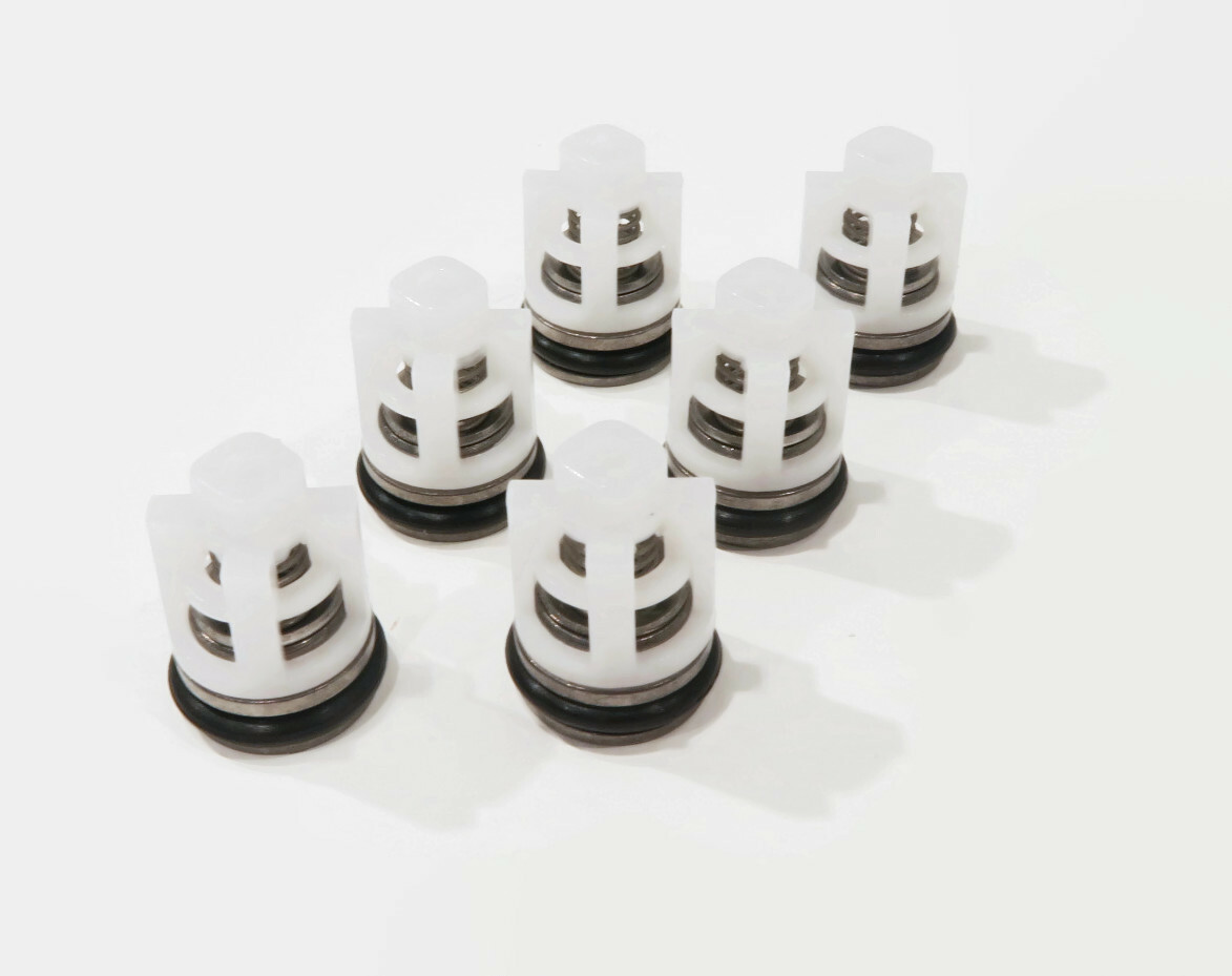 Check Valve Kit for Himore PWV(R)24/2.4H, PWV(R)25/2.3 Pressure Washer Pumps gallery
