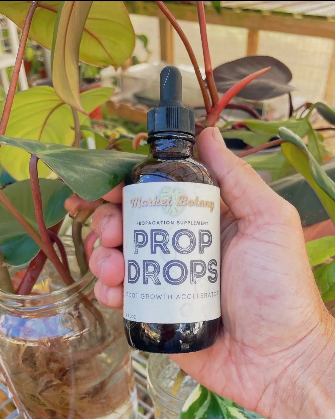 Prop Drops by | Propagation Plant Drops to Promote Healthy Root Growth gallery