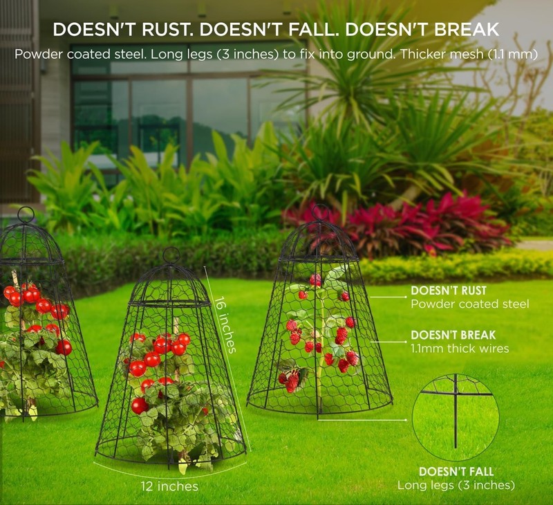 Durable Rustproof Garden Cloches for Plants - 6 Count, 12" x 20" Heavy Duty Mesh gallery