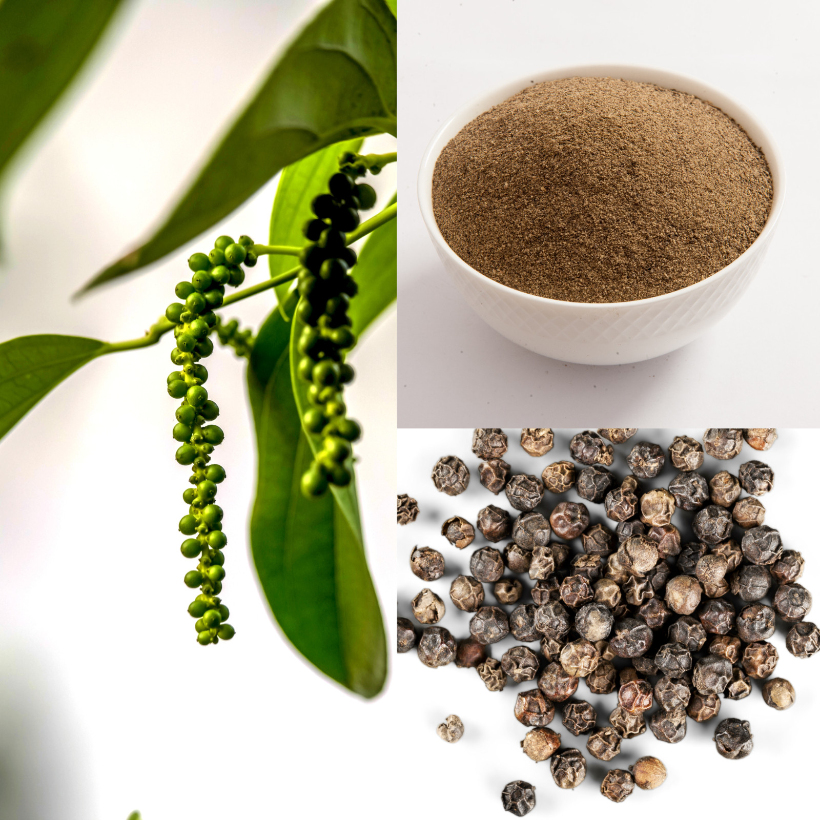 Premium Ceylon Black Pepper Powder Organic Black Pepper gallery