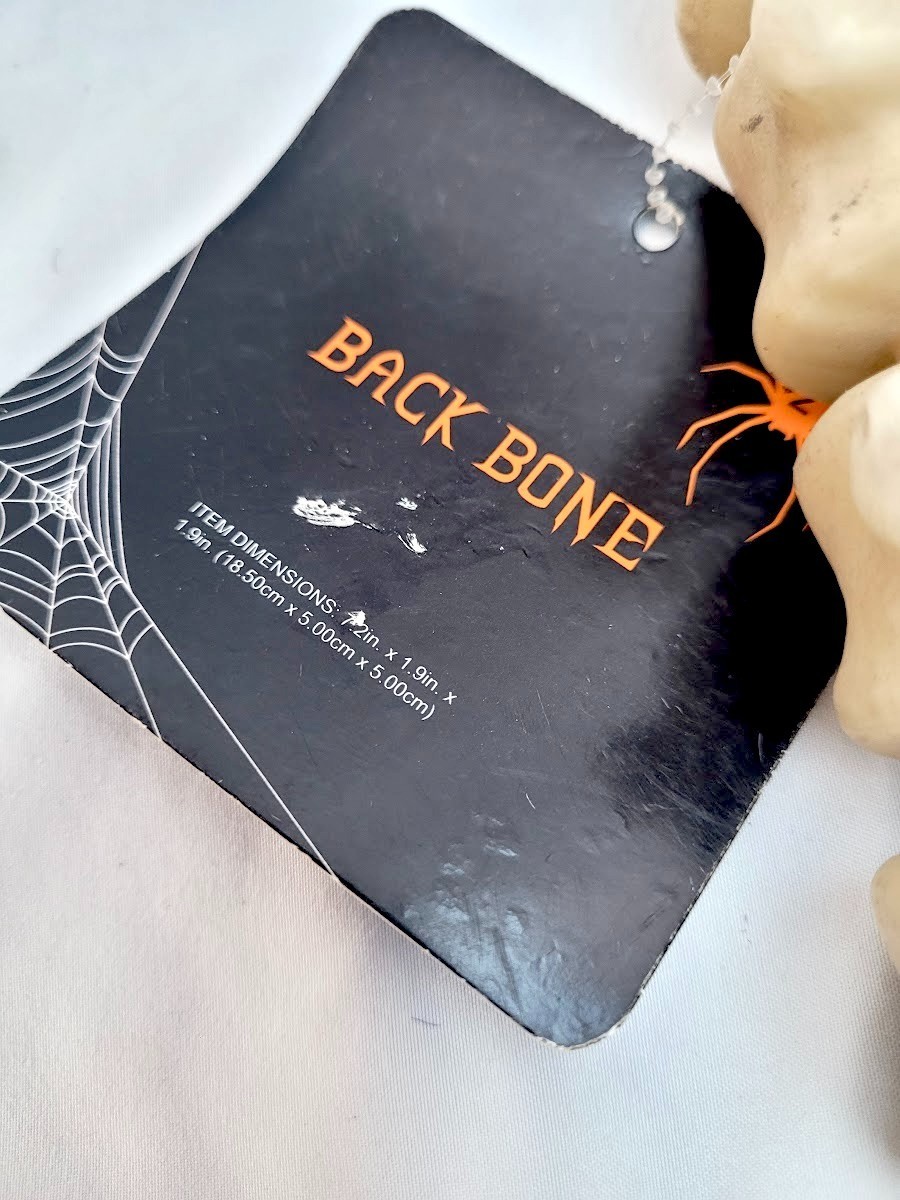7" Plastic Back Bone Creepy Home Decor for Indoor Use Only gallery