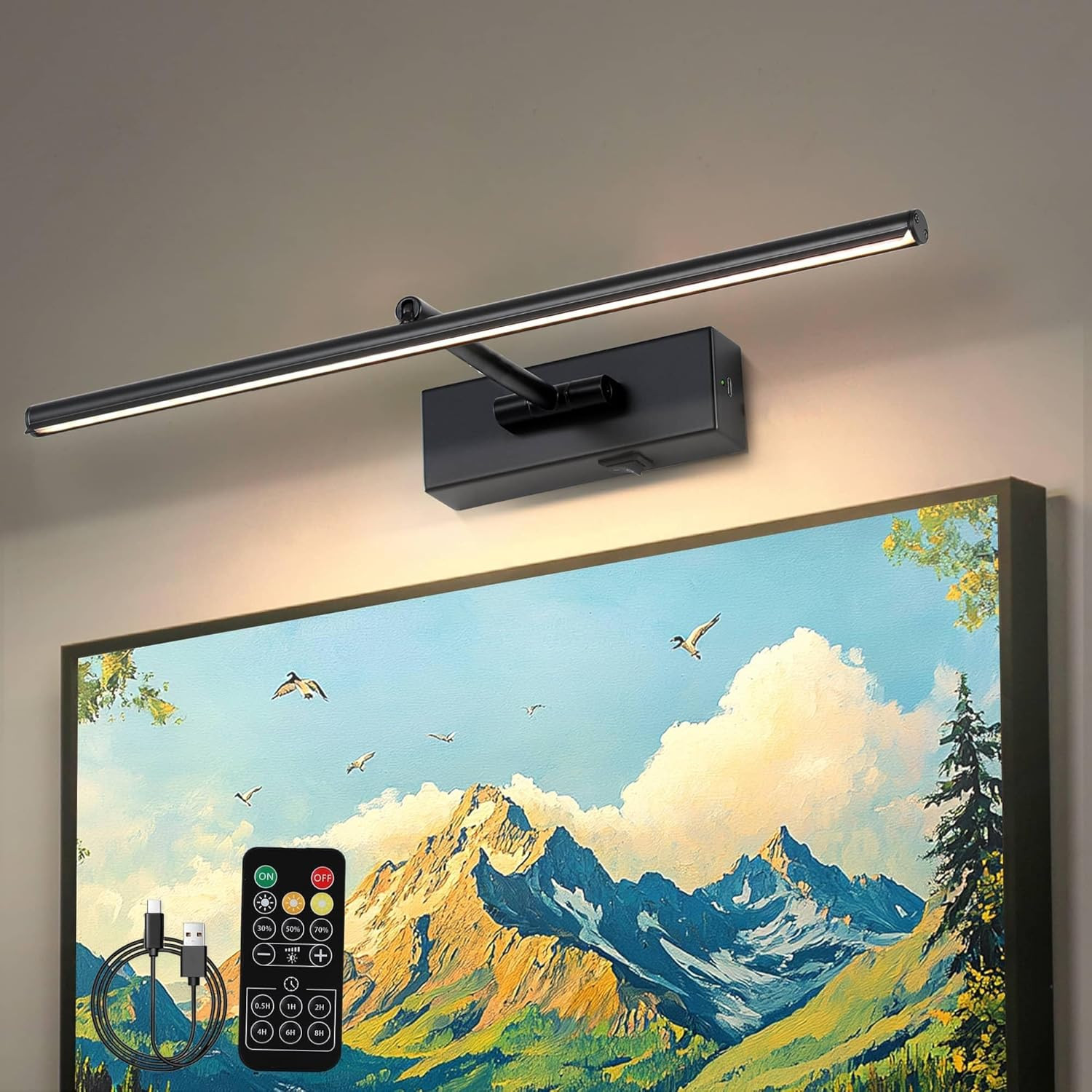 Dimmable Battery Operated Picture Light with Remote for Art Gallery Decor gallery