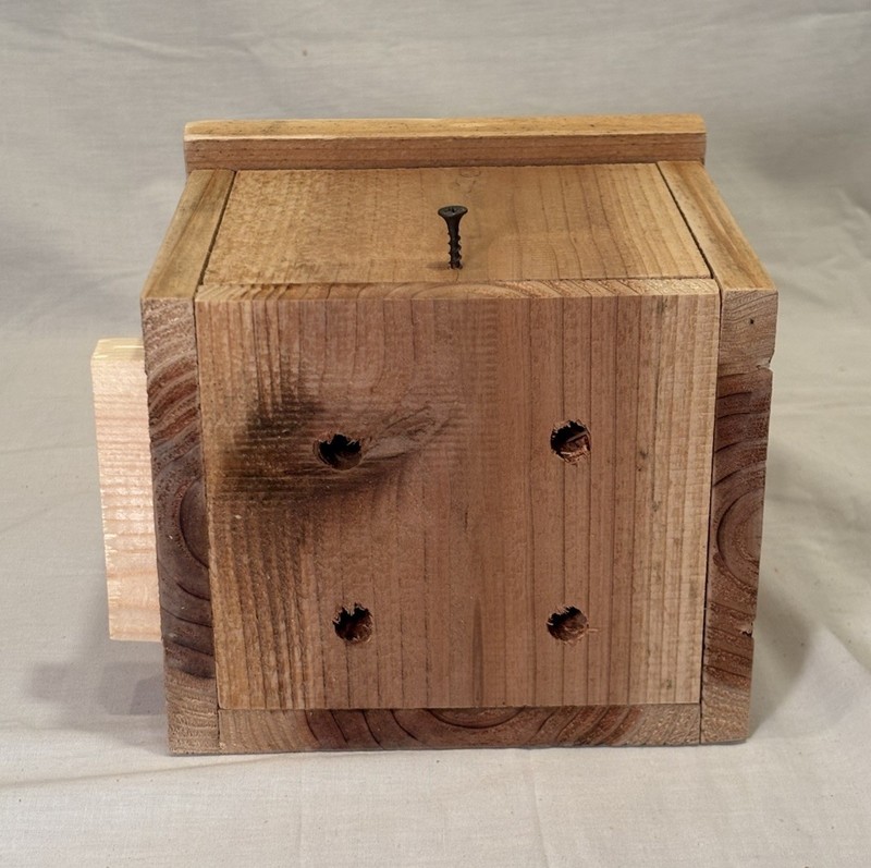 Solid Cedar Backyard Squirrel House Nesting Box - Fully Installed Wood Wildlife gallery