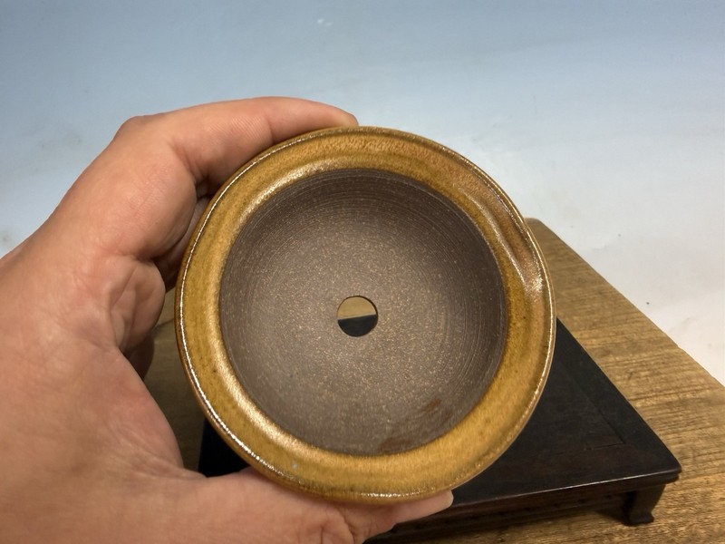 Japanese Unknown Maker Shohin Bonsai Tree Pot 3 1/2 By 1 1/4” Mustard Glaze gallery