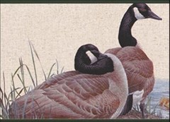 Norwall Prepasted Peelable Border Wallpaper Duck Pond 15 ft x 7 in GL76363