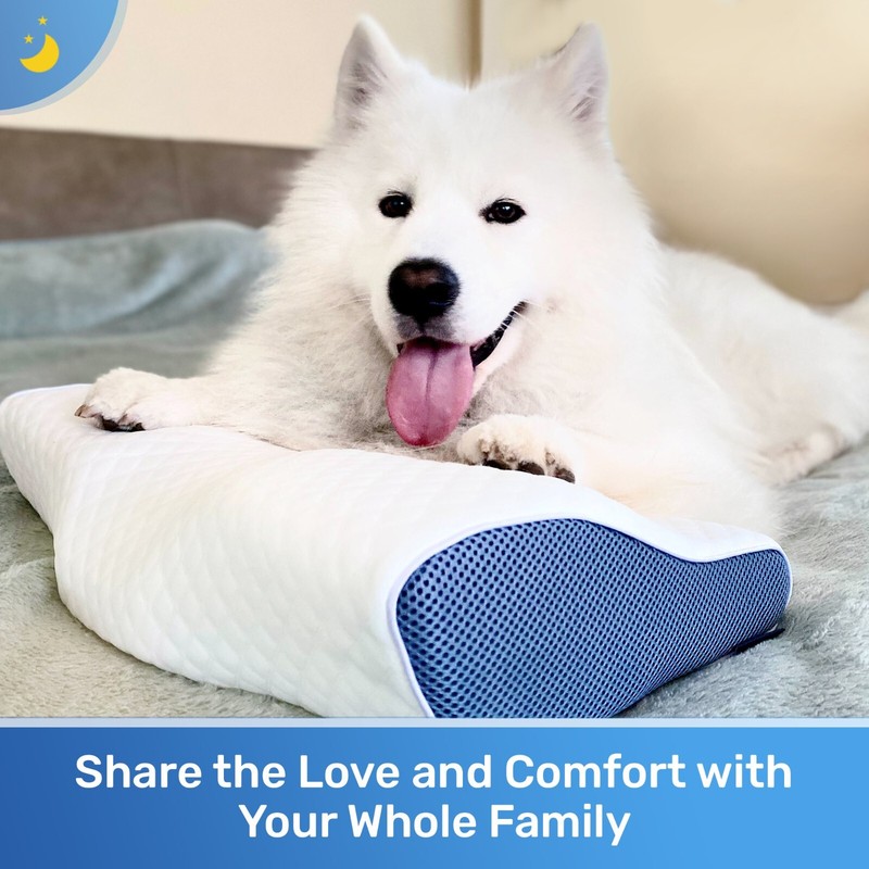 DERILA® ! KingSize Memory Foam Countour Pillow |For Side, Back, Stomach Sleepers gallery