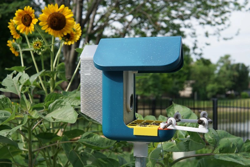 XL Extended Seed Hopper – Compatible 3rd Party Accessory for Bird Buddy™ gallery