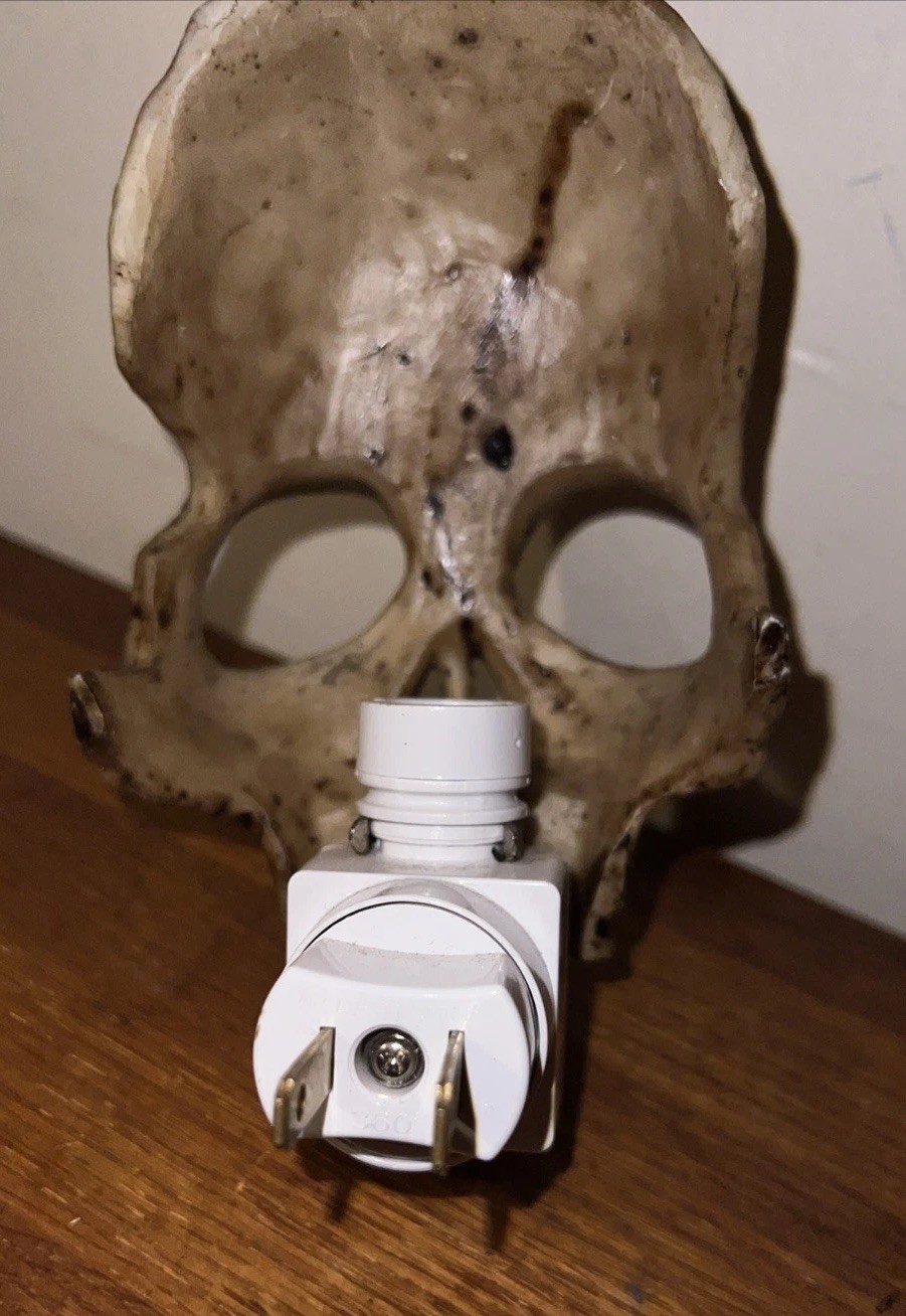 Realistic Skull Skeleton Night Light Halloween Prop Everyday Use Fun Might Light gallery