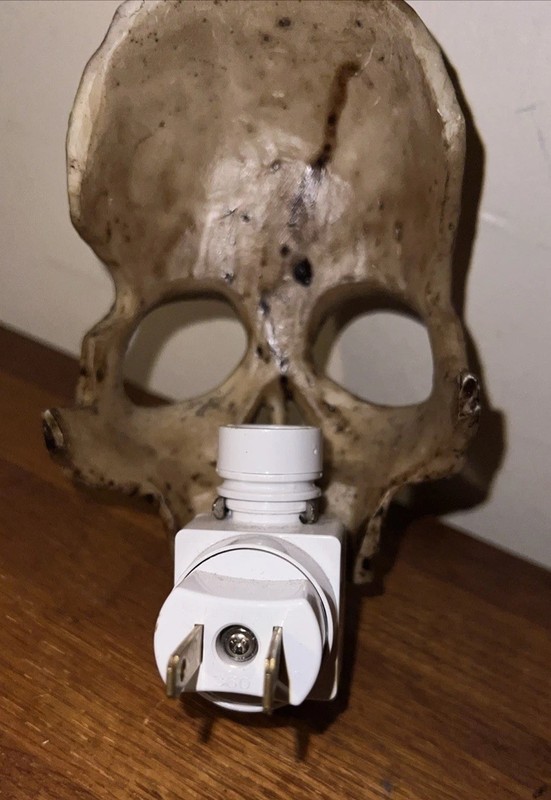 Realistic Skull Skeleton Night Light Halloween Prop Everyday Use Fun Might Light gallery