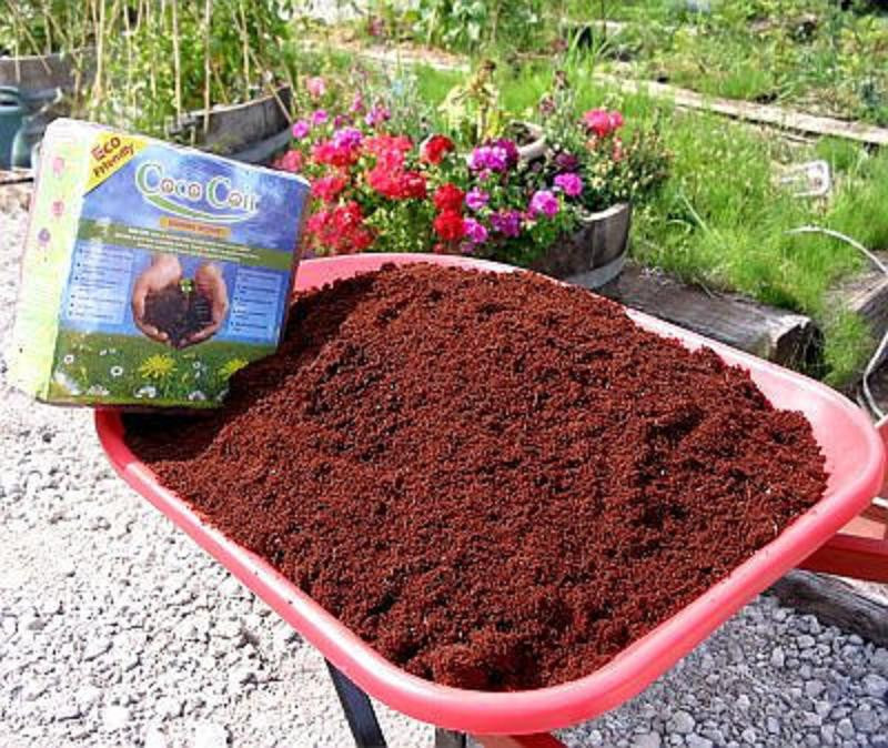 SOILLESS COCOTEK COCONOT RIOCOCO NEOPIT COCO COIR COCONUT bulk 1000 kg pallet gallery