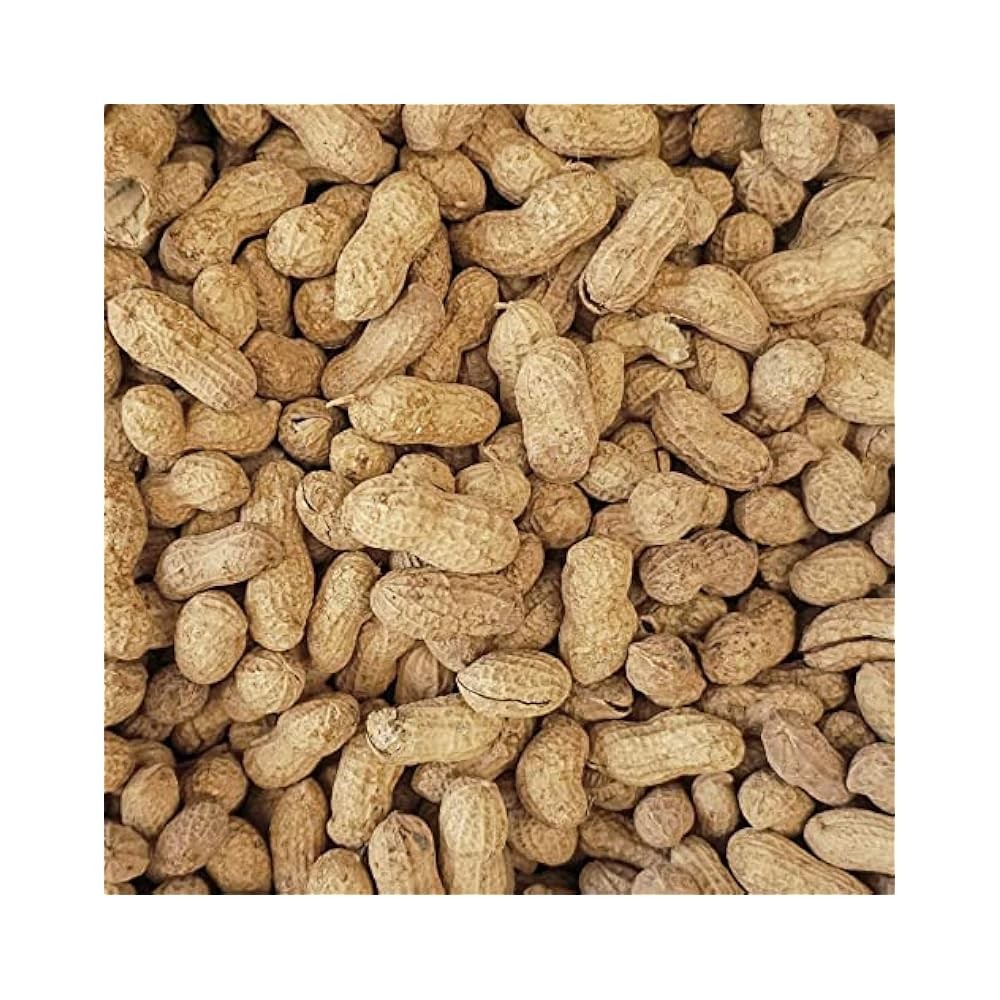 25lb Virginia Peanuts, In,Shell, Promotes Growth in Squirrels & Birds gallery