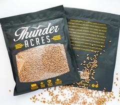 Wheat Seed, WheatGrass CatGrass, Wheat Juice, Bulk, 10lb, 15lb, 20lb, or 30lb