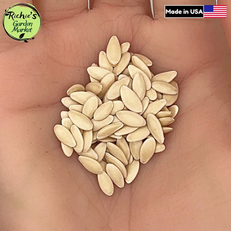 Cucumber Seeds, Marketer, Non-GMO, Disease Resistant, Free Shipping gallery