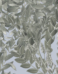 Devon & Devon VNGIANO Giacarta Noon Wallpaper 80 inch x 69 inch New in Box