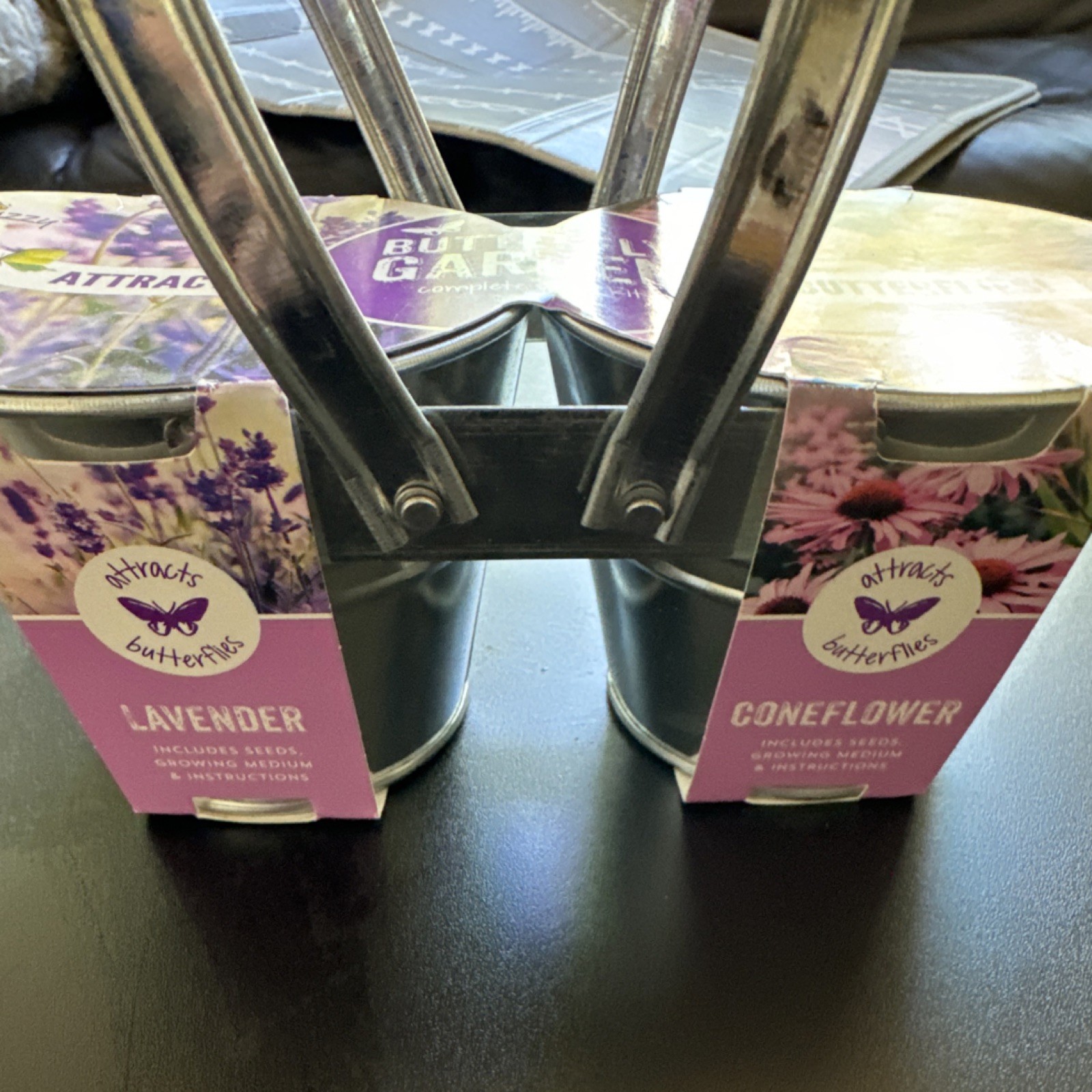 Buzzy Grow Kit Lavender & Coneflower Purple Pink Attracts Butterflies gallery