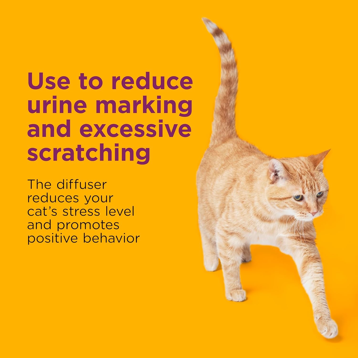 Comfort Zone Multi Cat Calming Diffuser Refill, 6 Pack gallery