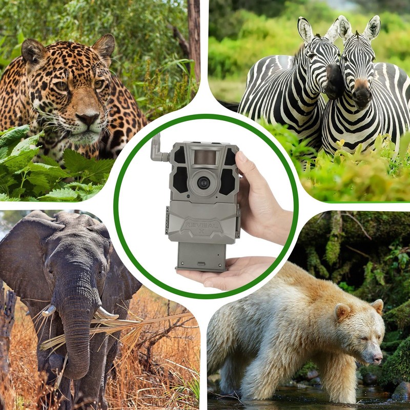 ✅4x Battery Replace for Tactacma Hunting Camera Reveal X Gen 3.0, 2.0, X Pro 3.0 gallery