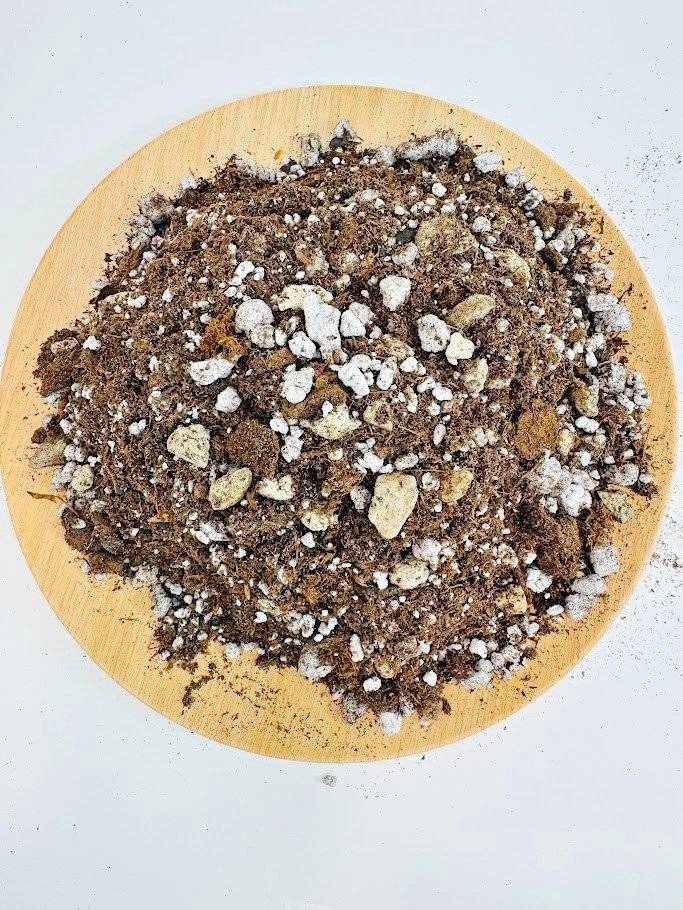 4 GAL | Cactus & Succulent Potting Mix | Peat and Pumice Gritty Mix | Hand Mixed gallery