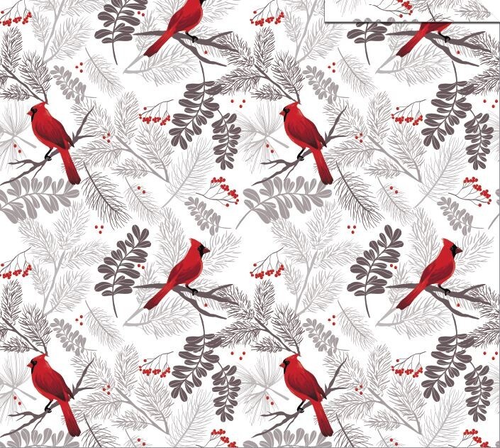 CARDINALS Soft Cozy Luxury Throw Light Weight Blanket 50" x 60" (127cm x 152cm) gallery