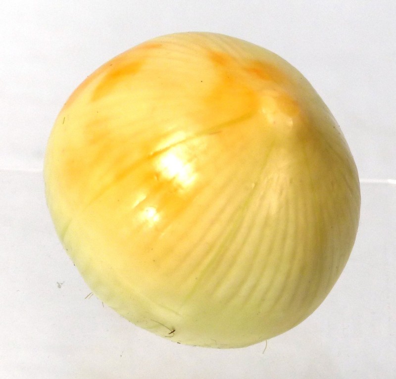 SEE PICS! 6-pack Artificial Onion White Vegetable Fake Vegetables Cebolla LOT gallery